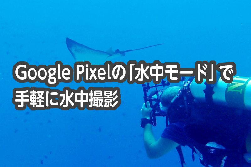 Google Pixelの「水中モード」で手軽に水中撮影を”元”ベテラン携帯販売が徹底解説！